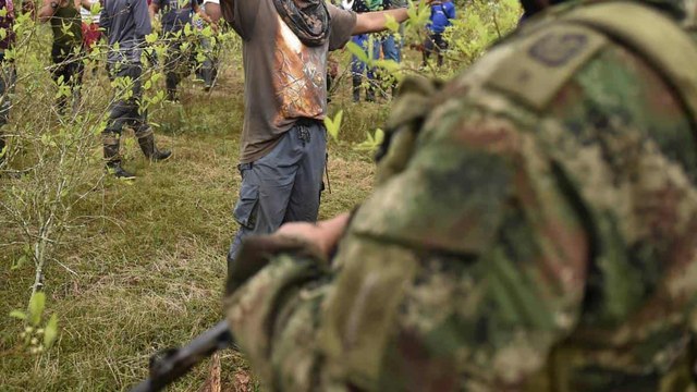 Los documentos que inteligencia militar encontró en USB antes de la operación en Putumayo