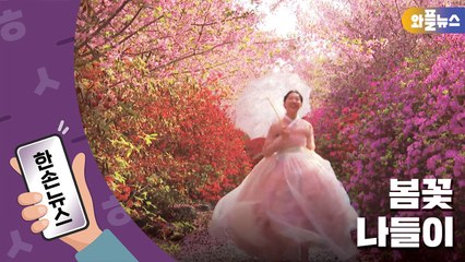 [한손뉴스] 상춘객들 얼굴에 웃음꽃이 활짝♥ / YTN
