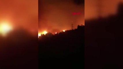 HATAY'DA ORMAN YANGINI