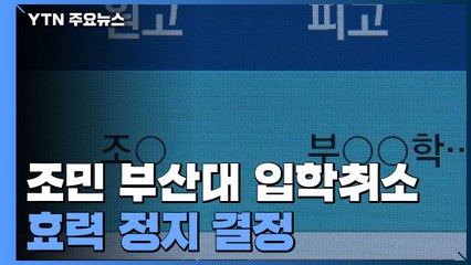 법원, 조민 씨 부산대 입학취소 효력 정지 결정 / YTN