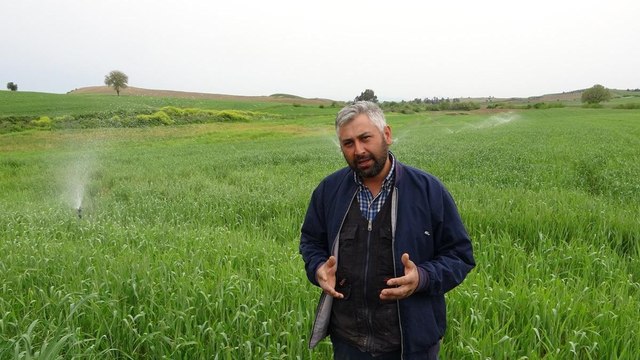 Kuraklık buğday üreticisine 30 yıl sonra tarla sulattı
