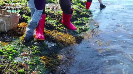 한국기행 - Korea travel_나물 찾아 봄 1부- 소쿠리 가득 청춘_#002