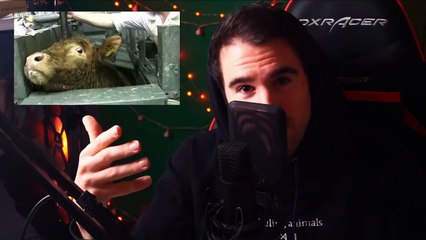 Réponse au RAPTOR sur l'Antispécisme et le Véganisme