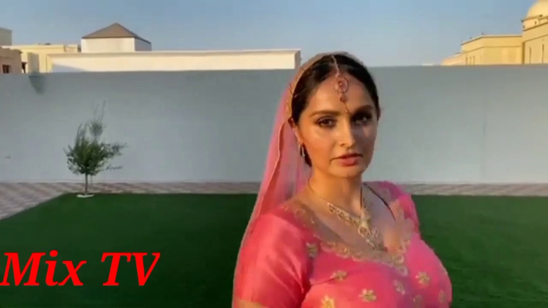 Lana Rose Hot Belly Dance On Her Birthday, Belly Dancer Party, How To Dance  In Party, Real Nature❤️. Beautiful girls. - video Dailymotion