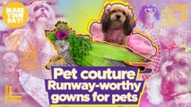 Runway-worthy gowns for pets | Make Your Day