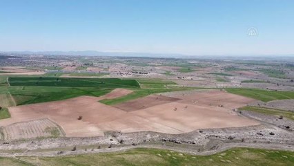 Ayçiçeği ekim alanı hibe destekli tohumla 4 kat büyüdü