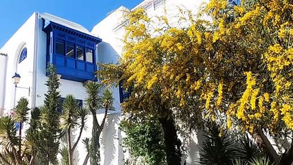 Tunisie : Sidi Bou Saïd