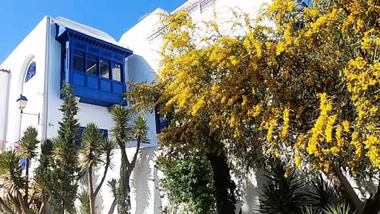 Tunisie : Sidi Bou Saïd