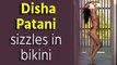 Disha Patani exudes hotness in bikini