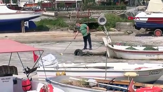 Marmara'yı yutan deniz salyası müsilaj için kötü haber geldi