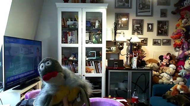 Wiwi muppetshowise apatride