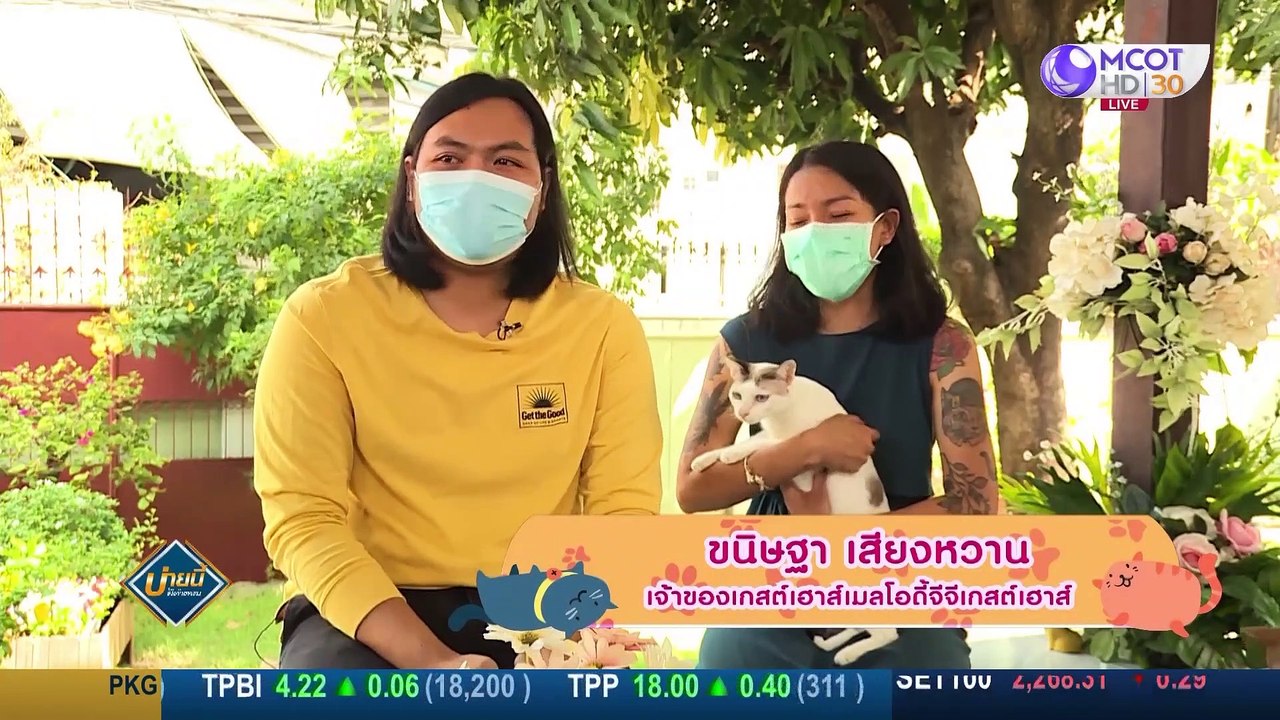 (คลิปเต็ม) Hide & Seek "ทรายแมวรักษ์โลก" ผลิตจา...
