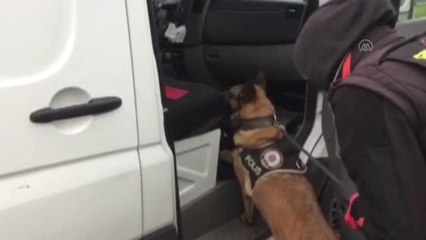 4 kilo 350 gram skunk ele geçirildi