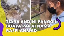 Viral Tiara Andini Panggil Buaya pakai Nama Raffi Ahmad Tuai Kecaman: Gak Sopan!