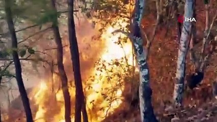 Orman yangını can aldı!