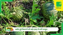 सेंसर आधारित सिंचाई प्रणाली (Sensor Based Irrigation System) से बढ़ेगी किसानों की आय, पानी और लागत दोनो की बचत