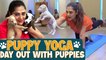 Yoga with Puppies  | Pets Yoga  | Happiest day | Uma Riyaz