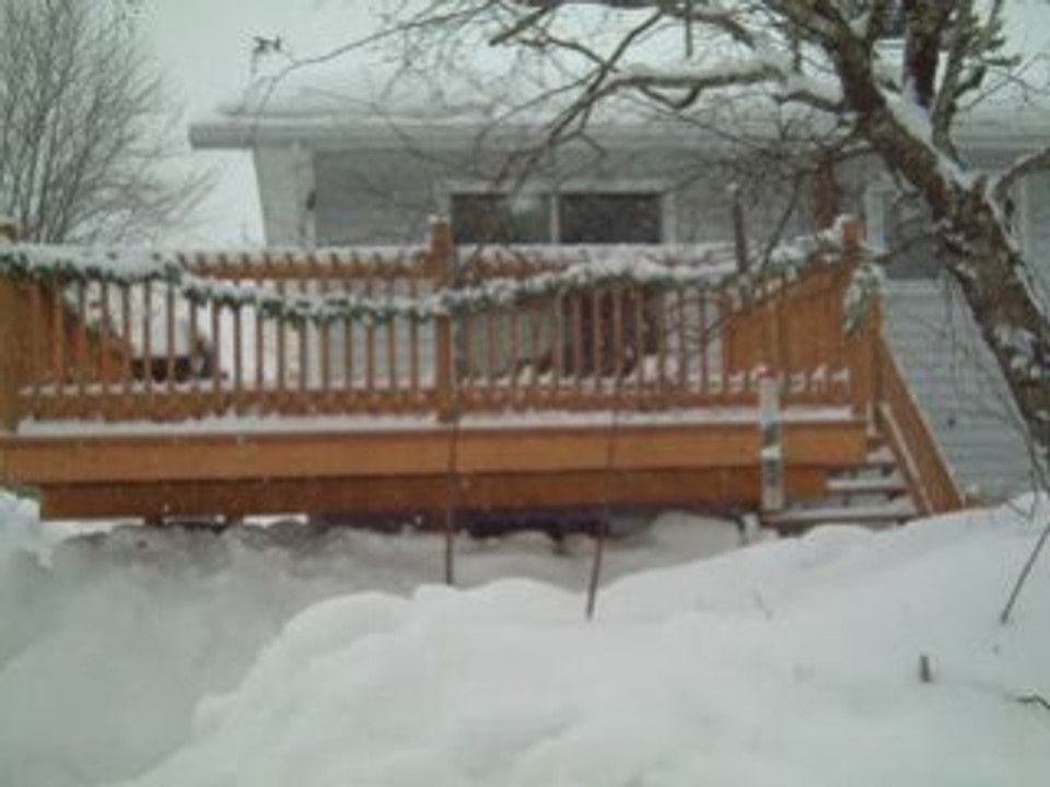Tempête du 8 mars 2008