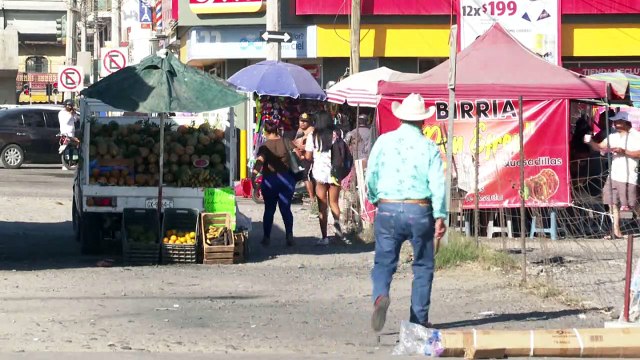 Tranquilo crucero de Mezcales esta Semana Santa en Bahía | CPS Noticias Puerto Vallarta