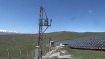 Üç girişimci 20 dönümlük araziye güneş enerjisi santrali kurdu