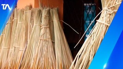 Comunidades indígenas tienen conocimiento ancestral de la Totora