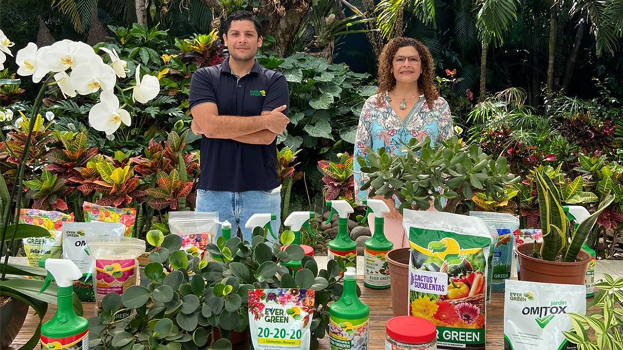 bd-consejos-plantas-180422