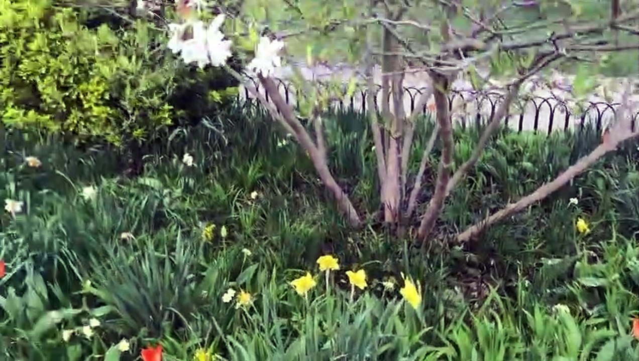 Amberlynn Reid Addresses Wifey Having a Girlfriend! (karina kaboom reupload 2022/04/18)