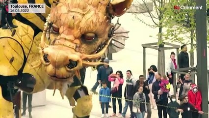Horse-dragon from China captivates crowd in Toulouse