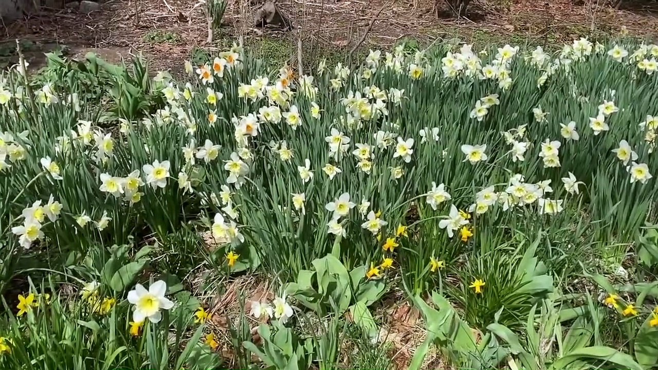 Foodie Beauty Caught With Nader in Hotel Confirmed! (karina kaboom reupload 2022/04/09)