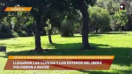 Llegaron las lluvias y los Esteros del Iberá volvieron a nacer