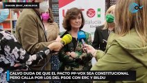 Calvo duda de que el pacto PP-Vox sea constitucional pero calla por los del PSOE con ERC y Bildu