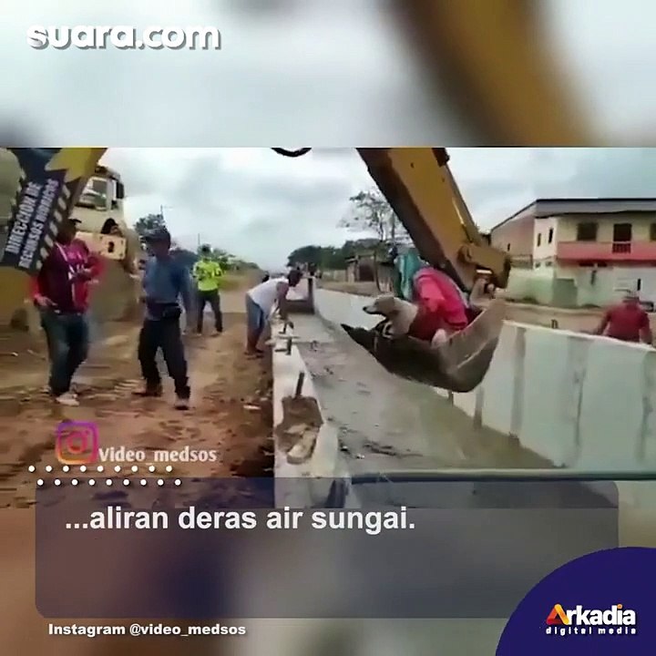 Aksi Heroik Tukang Bangunan saat Selamatkan Seekor Anjing Terseret Arus Sungai