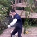 Ce panda refuse de lacher la jambe de son soigneur
