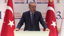 Erdoğan: Suriyelilerin gönüllü ve onurlu geri dönüşü için gayret gösteriyoruz