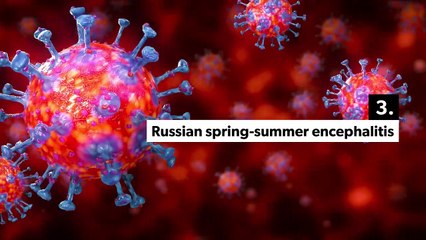 Asian Longhorned Tick