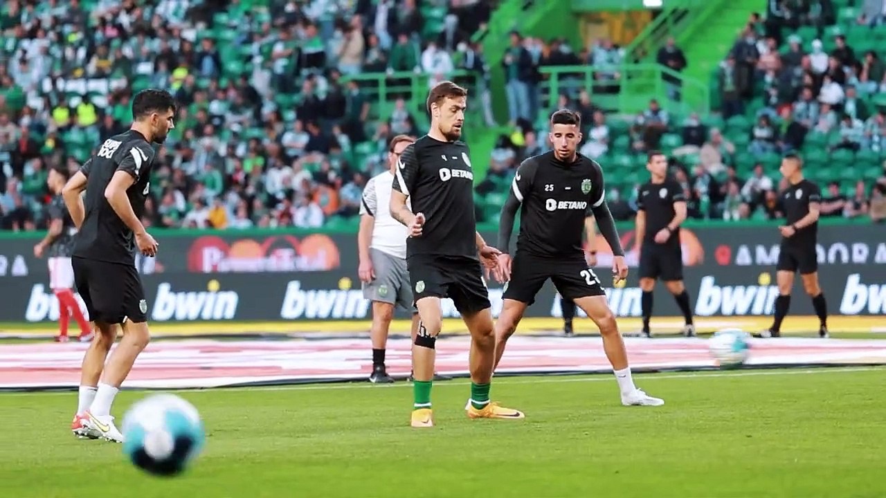 scp - slb backstage