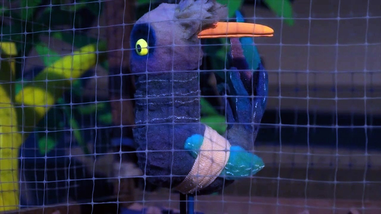 Birdlime (Trailer) Official 2017 Selection - Narrative Short - Vídeo ...