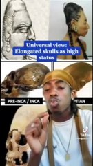 Conspiracy Theories Tik Tok 11