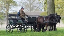 Sophie Wessex pays sweet tribute to Duke of Edinburgh with carriage ride around Windsor