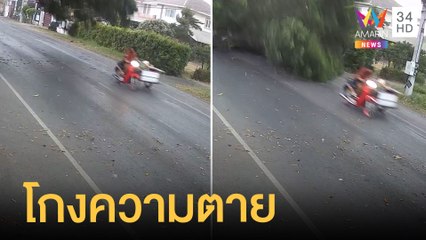 ซาเล้งโกงความตาย เสี้ยววินาทีต้นไม้ล้มหวิดทับขณะรถผ่าน | ข่าวเที่ยงอมรินทร์ | 19 เม.ย.65