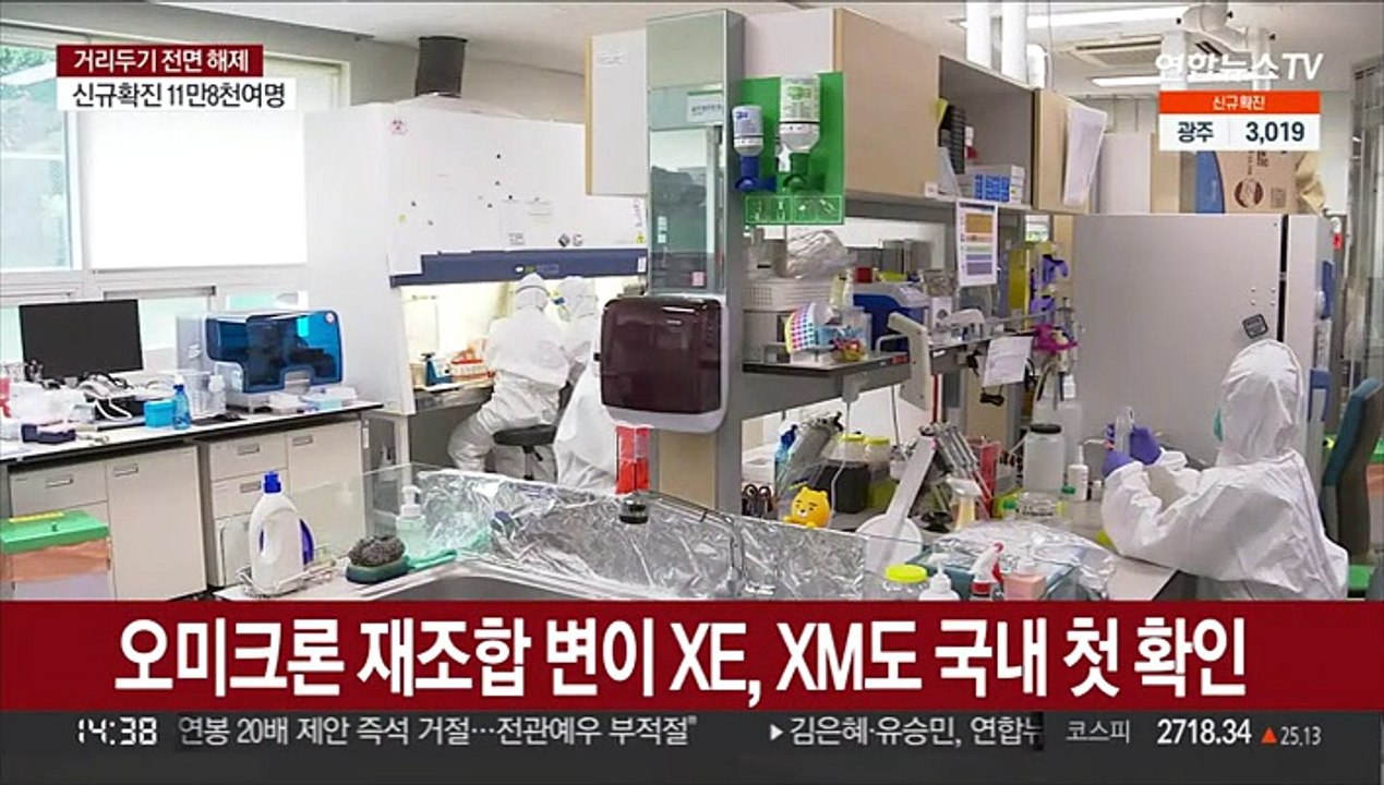 오미크론 재조합 변이 XE, XM도 국내 첫 확인