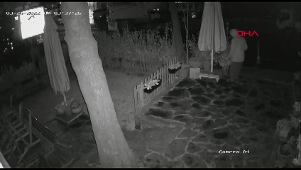 Hırsızlar şemsiyeyi çalmaya yemin etmiş! İkinci kez geldiler