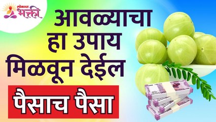 आवळ्याचा कोणता उपाय तुम्हाला पैसे मिळवून देईल?Which Amla remedy can make you money? Benefits of Amla