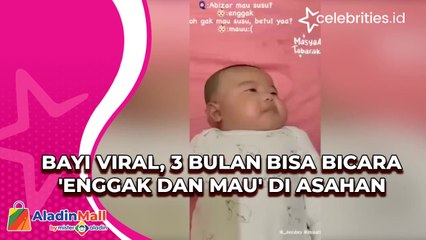 Bayi Viral, 3 Bulan Bisa Bicara 'Enggak dan Mau' di Asahan
