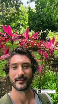 Jérémy Frérot et Laure Manaudou en vacances avec leurs enfants en Guadeloupe.