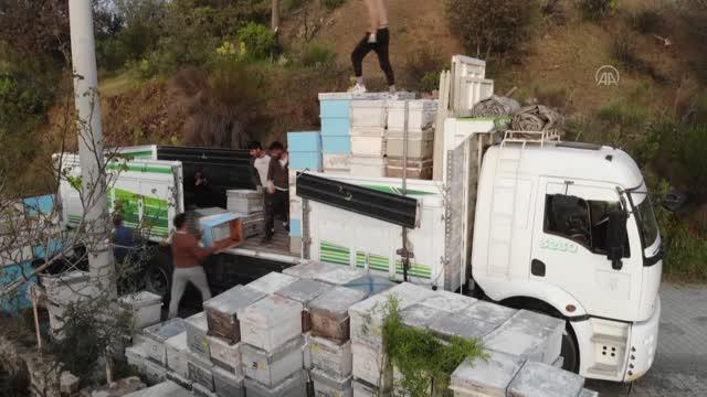 Gezgin arıcıların yayla yolculuğu başladı (1)