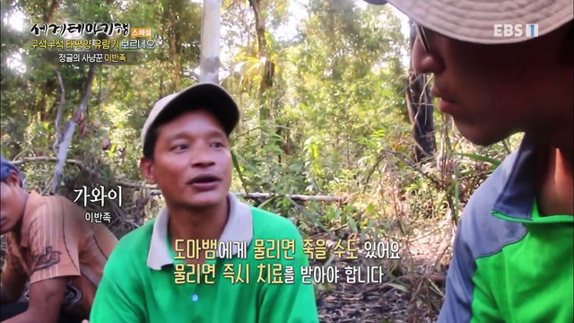 세계테마기행 - 구석구석 태평양 유람기- 열대 우림을 가다, 보르네오_#003
