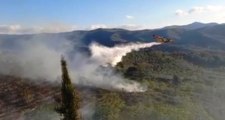 Incendi a Pasqua, interventi dei Viigili del Fuoco in Liguria e Piemonte (19.04.22)