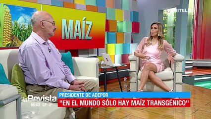 Adepor: Emapa no tiene capacidad para abastecer de maíz