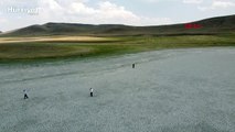 Van'da tamamen kuruyan Tuz Gölü, yeniden su tutmaya başladı